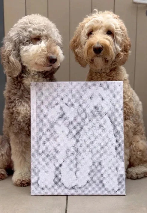Eigen foto dot painting gemaakt door een klant