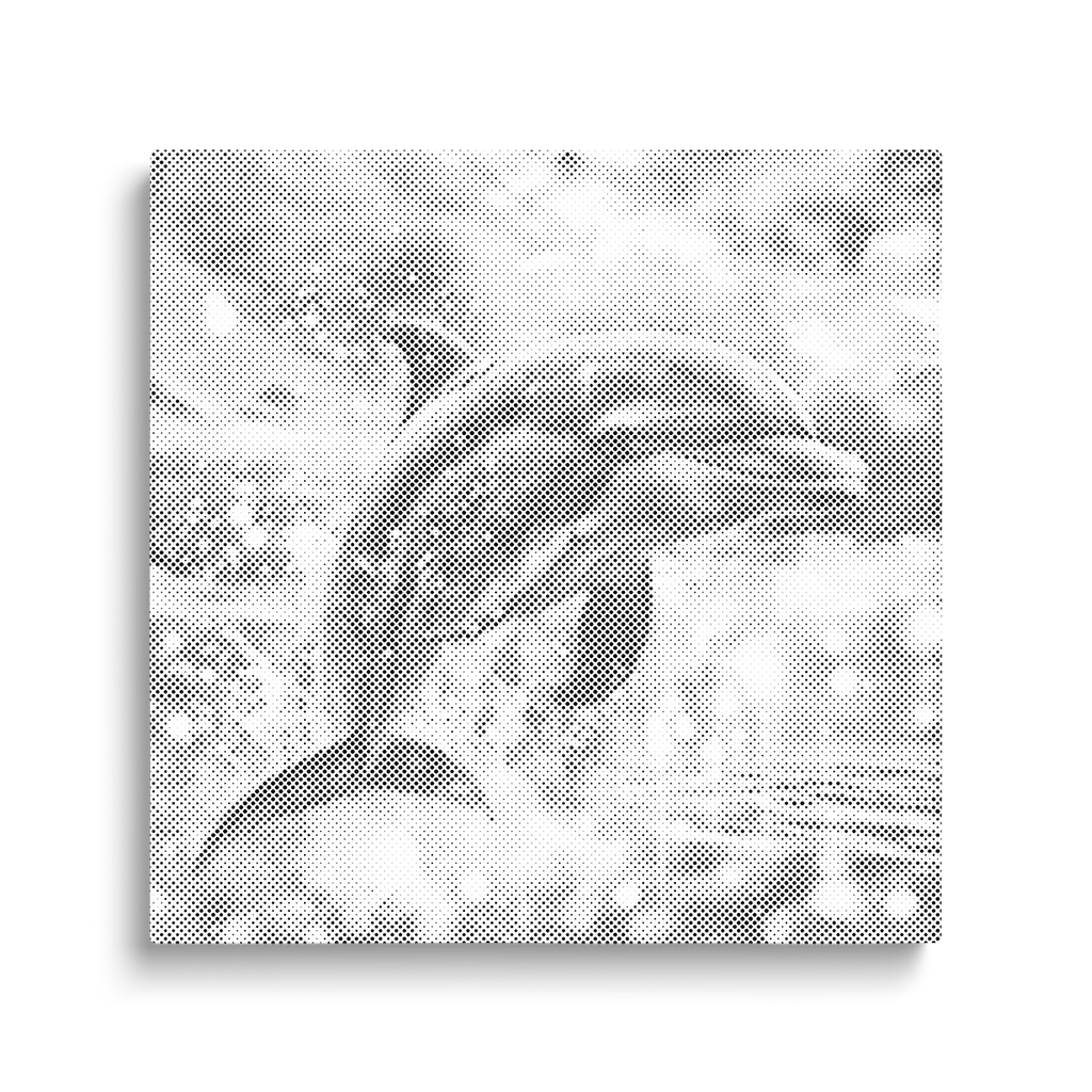 Dolfijn | Stippelschilderij - Oh My Dotz