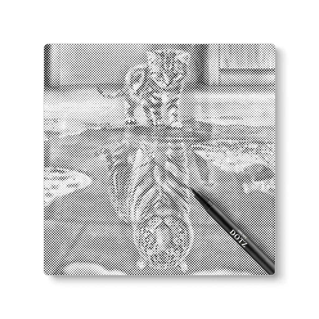 Kitten weerspiegeling | Stippelschilderij-Oh My Dotz-Dot painting-stippelschilderij