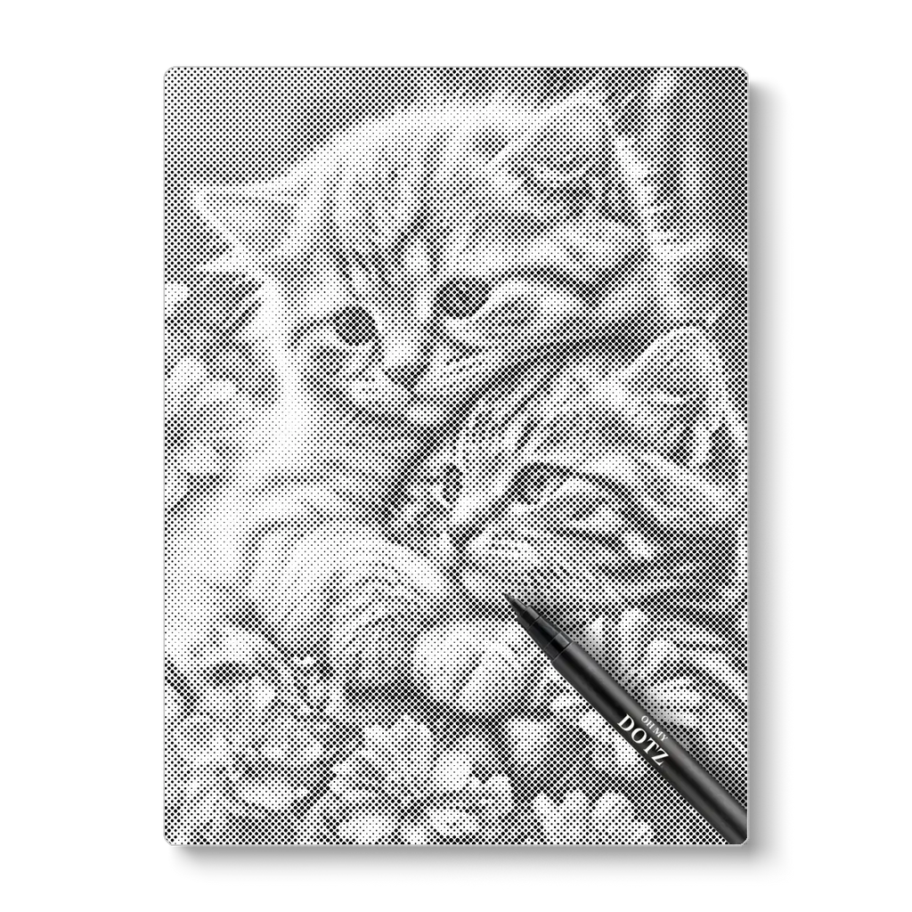Knuffelende kittens | Stippelschilderij-Oh My Dotz-Dot painting-stippelschilderij