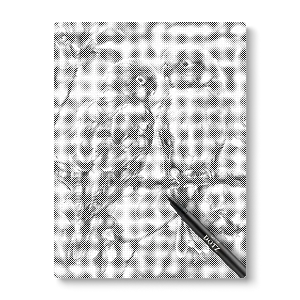 Verliefde parkieten | Stippelschilderij-Oh My Dotz-Dot painting-stippelschilderij