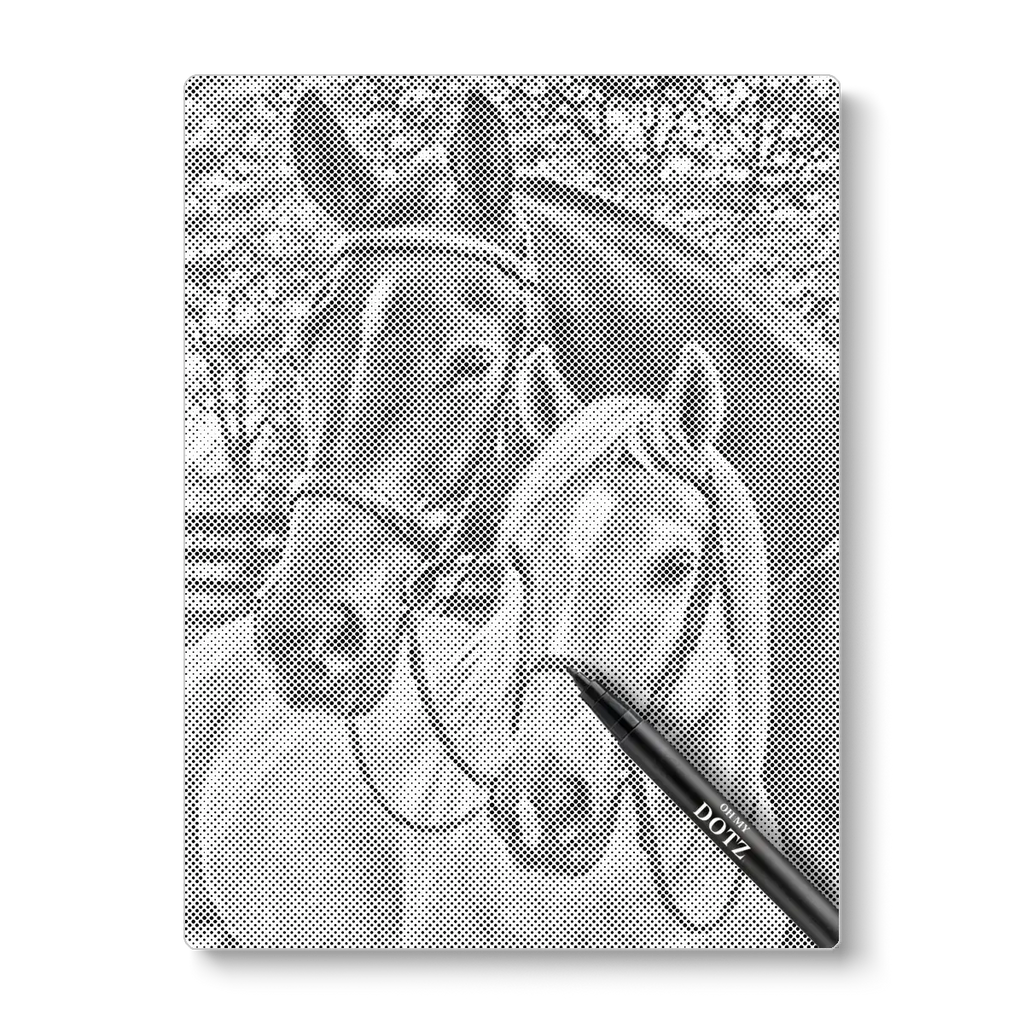 Paarden | Stippelschilderij-Oh My Dotz-Dot painting-stippelschilderij