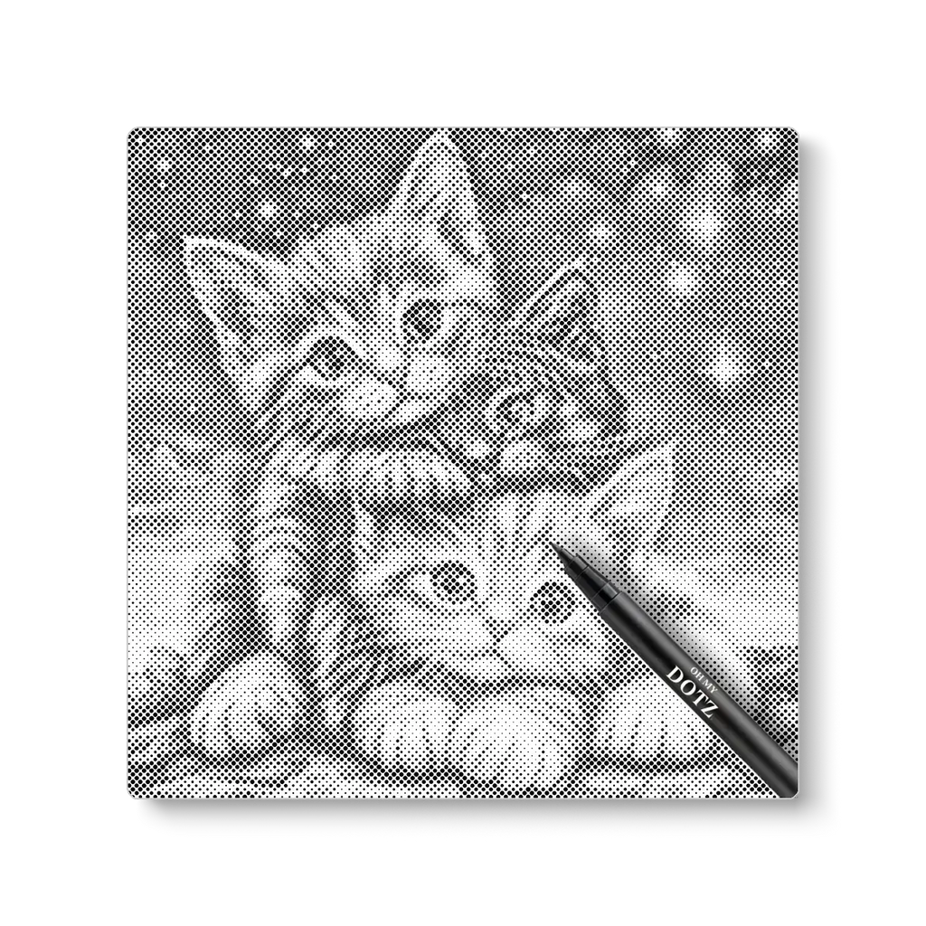 3 Kittens | Stippelschilderij-Oh My Dotz-Dot painting-stippelschilderij