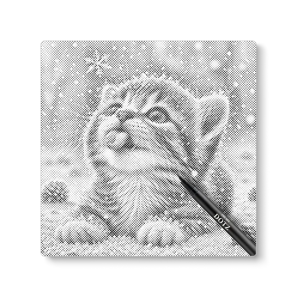 Kitten in de sneeuw | Stippelschilderij-Oh My Dotz-Dot painting-stippelschilderij