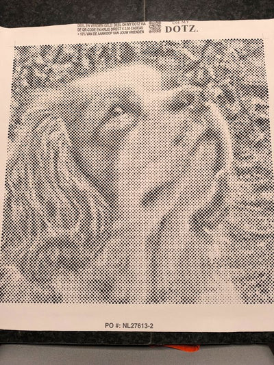 Eigen foto dot painting gemaakt door een klant