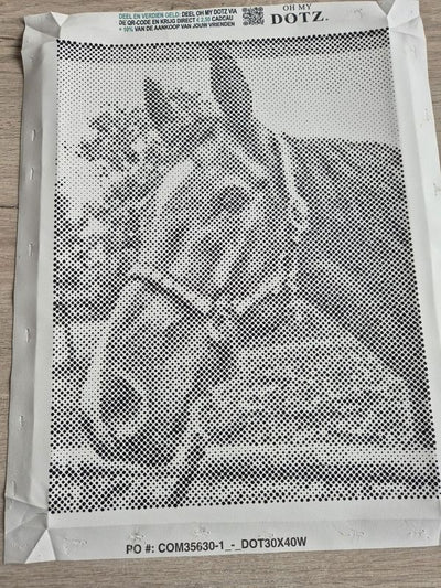 Eigen foto dot painting gemaakt door een klant