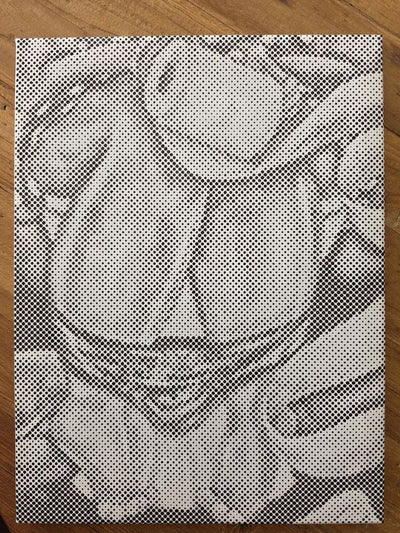 Eigen foto dot painting gemaakt door een klant